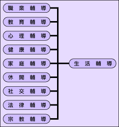 觀護業務流程